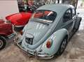 Volkswagen Beetle - thumbnail 4