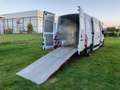 Renault Master Furgone H2 L3 /2.3  dci Rampa carico pieghevole Bianco - thumbnail 2