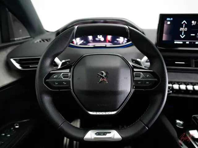 Peugeot 3008 view 11