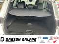 Renault Kadjar 1.3 TCe 140 Limited Sitzheizung/Navi/PDC vonre&hin Beyaz - thumbnail 12