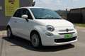 Fiat 500 1.3 MJT 95 CV Pop - UNICO PROPRIETARIO Weiß - thumbnail 2