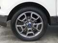 Ford EcoSport 1.0 EcoBoost Titanium, Camera, Cruise, Trekhk, NL/ Weiß - thumbnail 18