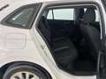 Skoda Scala 1.0 TSI Essence 70kW Blanco - thumbnail 6