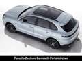 Porsche Cayenne E-Hybrid LenkradHZG 360 Kamera Memory Silber - thumbnail 5