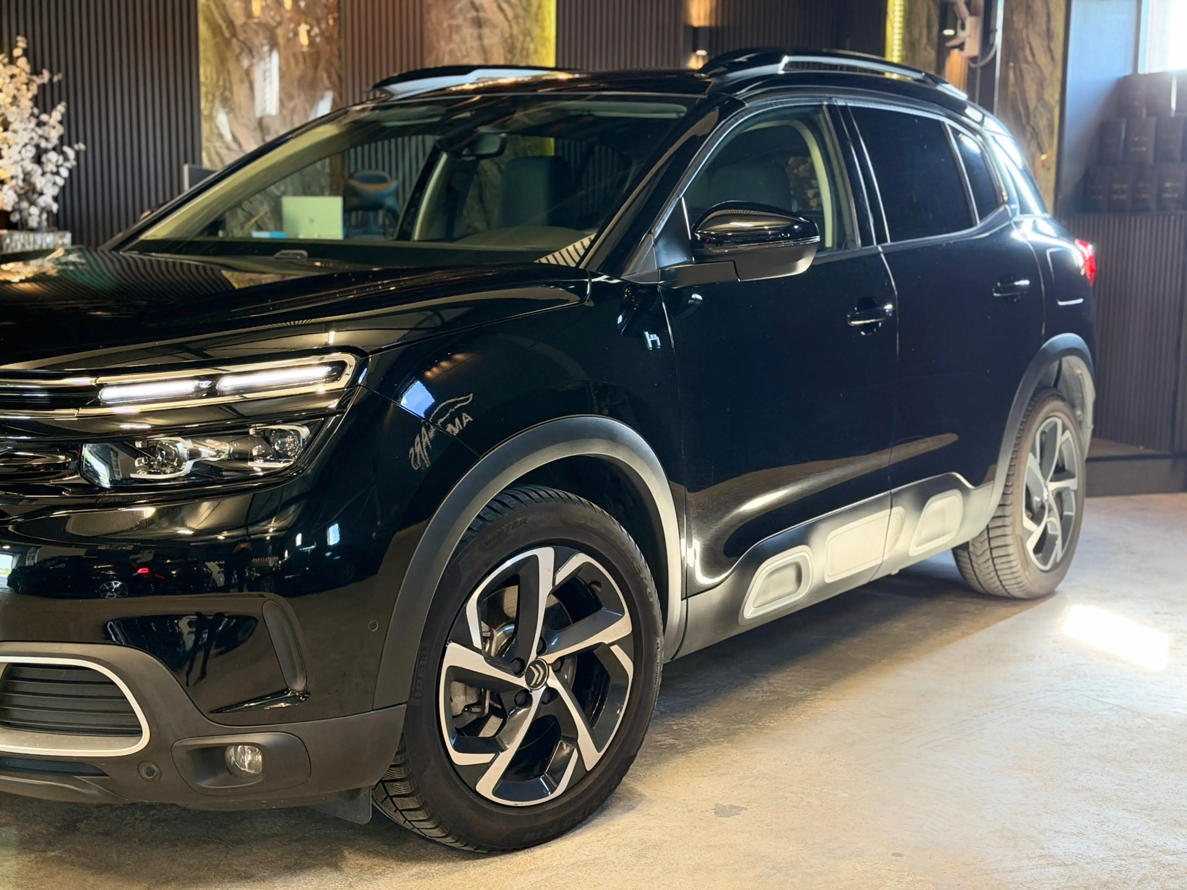 Citroen C5 Aircross 1.6 Plug-in Hybrid 225 Business Plus — photo 6