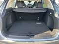 BAIC X55 1,5Turbo GDI Aut. Grigio - thumbnail 13