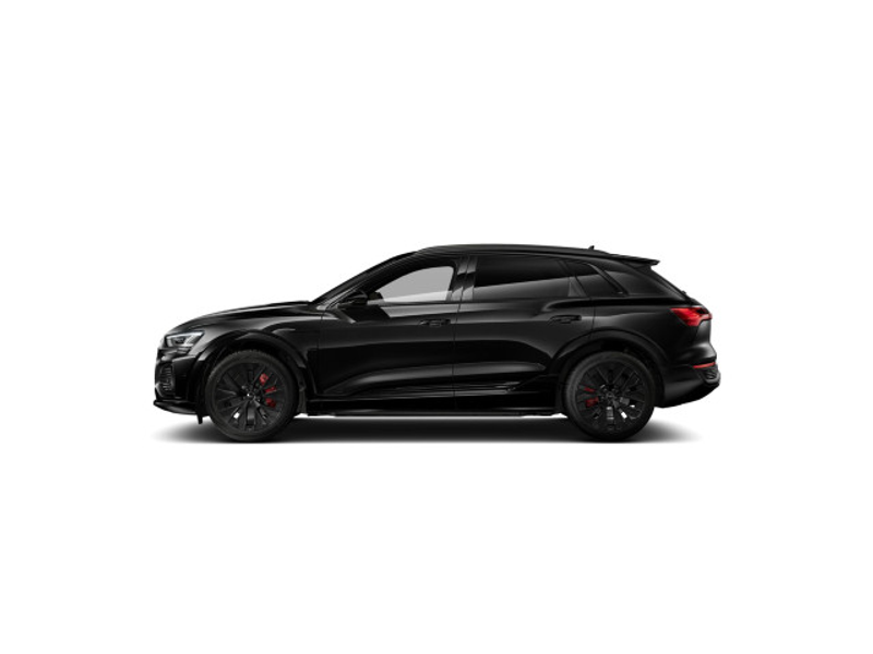 Audi Q8 e-tron S line 50 qu Matrix/Pano/ACC/Kam/21"/A — photo 6