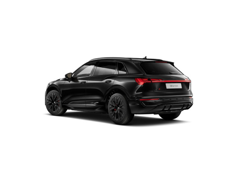 Audi Q8 e-tron S line 50 qu Matrix/Pano/ACC/Kam/21"/A — photo 5