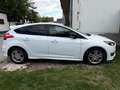 Ford Focus Focus 1,0 EcoBoost Titanium Titanium Weiß - thumbnail 1