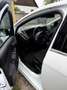 Ford Focus Focus 1,0 EcoBoost Titanium Titanium Weiß - thumbnail 10