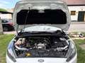 Ford Focus Focus 1,0 EcoBoost Titanium Titanium Weiß - thumbnail 6