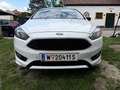 Ford Focus Focus 1,0 EcoBoost Titanium Titanium Weiß - thumbnail 4