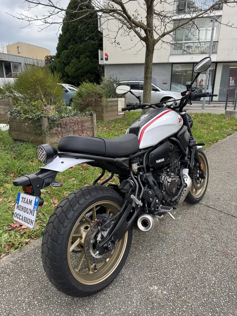 Yamaha XSR 700 - 1