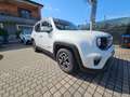 Jeep Renegade Renegade 1.6 mjt Longitude 2wd 120cv White - thumbnail 6