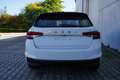 Skoda Fabia 1.0TSI Navi/MirrorLi Kamera LED SHZ Alb - thumbnail 7