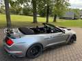 Ford Mustang Convertible 2.3 EcoBoost Gris - thumbnail 16