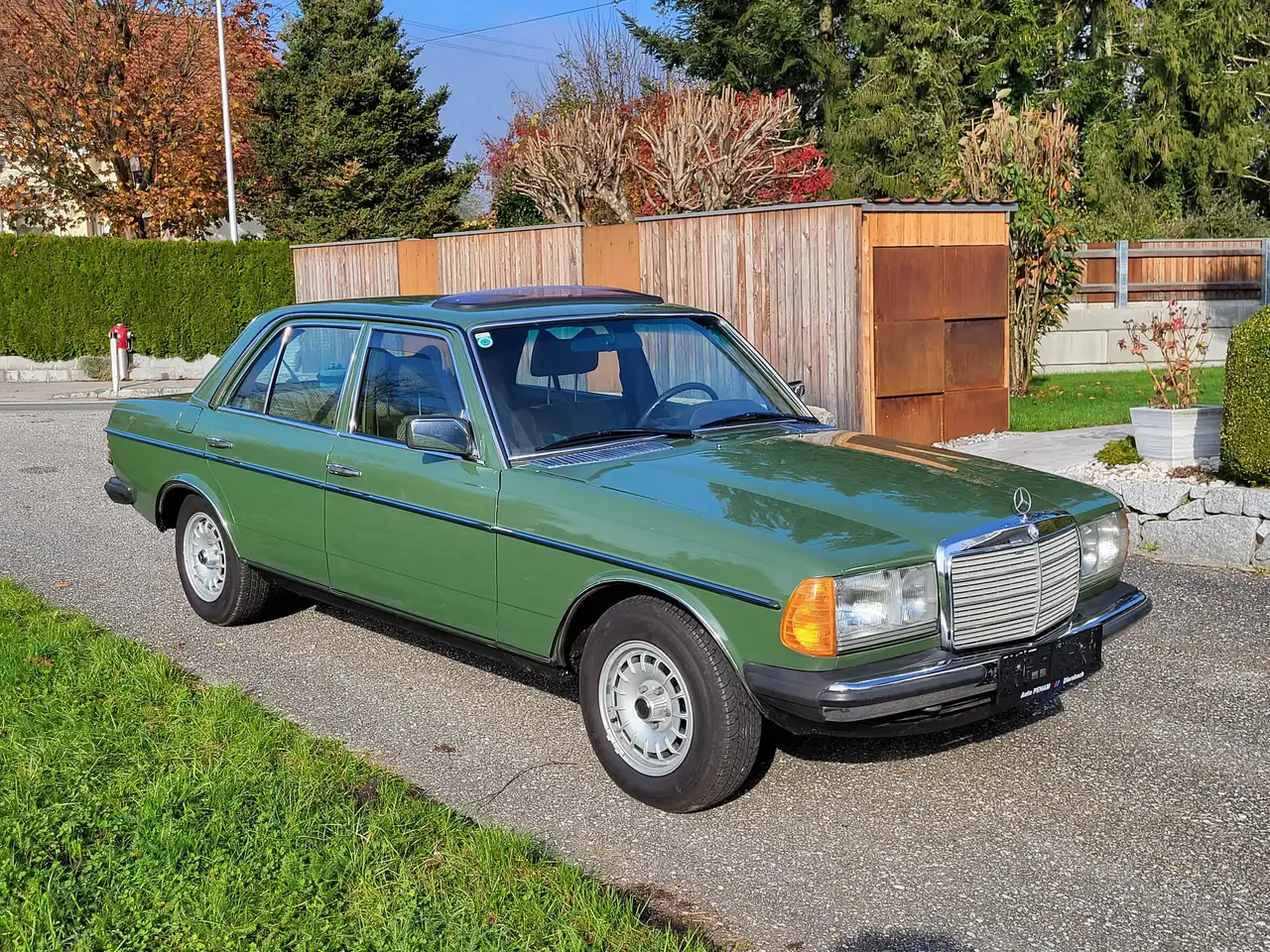 Mercedes-Benz Baureihe 123 W123, foto 1