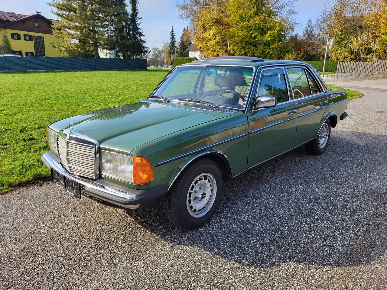 Mercedes-Benz Baureihe 123 W123, foto 5
