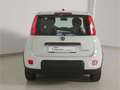 Fiat Panda 1.0 GSE Wit - thumbnail 5
