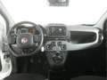 Fiat Panda 1.0 GSE Wit - thumbnail 15