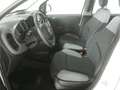 Fiat Panda 1.0 GSE Wit - thumbnail 10