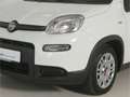 Fiat Panda 1.0 GSE Wit - thumbnail 9