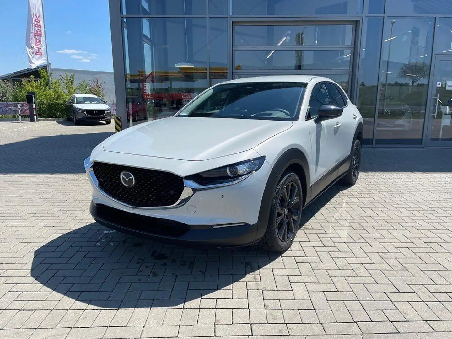 Mazda CX-30 2.5 (140PS) Schalter Homura Rückfahrk. Nav Weiß - 2