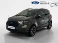 Ford EcoSport ST-Line 1.0 Benzin Navi Soundsystem B & O LED Appl Gris - thumbnail 1