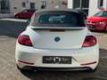 Volkswagen Beetle Cabriolet 1.2 TSI SOUND|XENON|FENDER|KAME Blanc - thumbnail 6