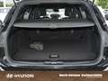 Ford Focus 1.5 ST-LINE X  AUT ACC AHK KAMERA AMBIENTE Schwarz - thumbnail 13