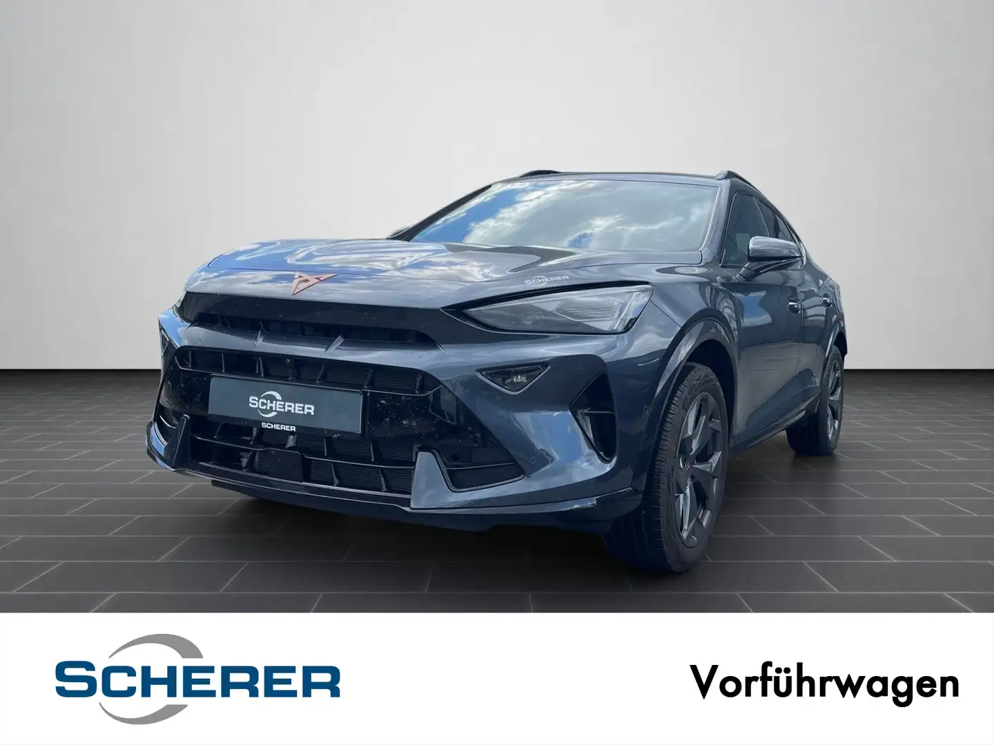CUPRA Formentor 2,0 TDI 7-Gang-DSG, Navi, SHZ, Voll-LE Grau - 1