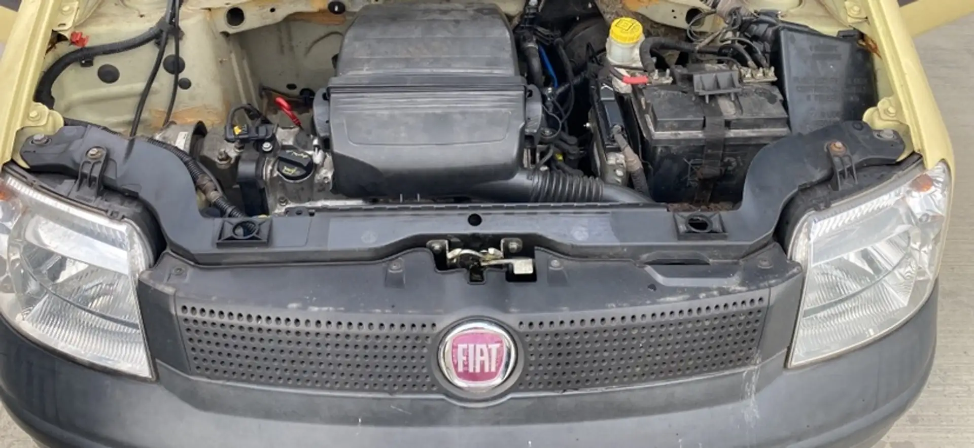 Fiat Panda Panda 1.1 Active Gelb - 2