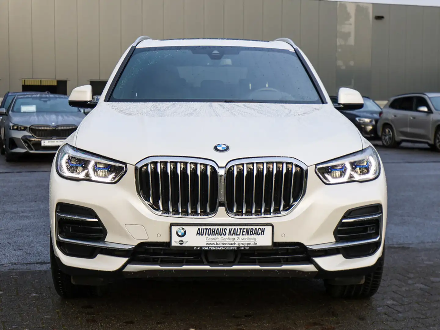 BMW X5 xDrive 30d xLine PANO AHK HUD LASER LED Weiß - 2