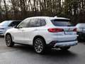 BMW X5 xDrive 30d xLine PANO AHK HUD LASER LED Weiß - thumbnail 7