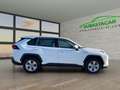 Toyota RAV 4 RAV4 RAV4 2.5l 220H Business 4WD Blanc - thumbnail 4