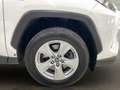 Toyota RAV 4 RAV4 RAV4 2.5l 220H Business 4WD Blanc - thumbnail 10