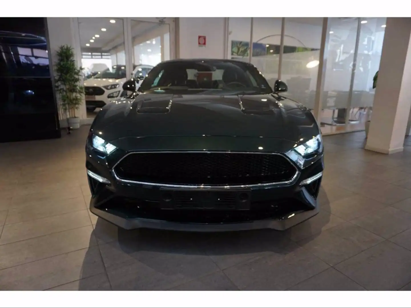 Ford Mustang Fastback 5.0 V8 TiVCT GT Bullitt Verde - 2