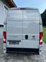 Fiat Ducato L4H3 35 MAXI 2.3 Multijet 180 Grau - thumbnail 5