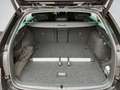 Skoda Octavia Selection TDI DSG Schwarz - thumbnail 14