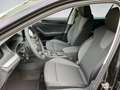 Skoda Octavia Selection TDI DSG Schwarz - thumbnail 8