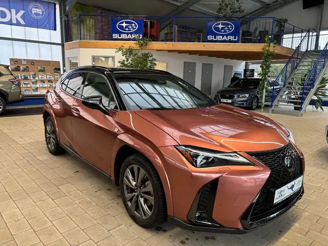 Lexus UX 300h E-Four Sport Design Navi Leder