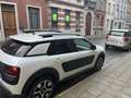 Citroen C4 Cactus C4 Cactus 1.2 PureTech Shine Edition Day - thumbnail 7
