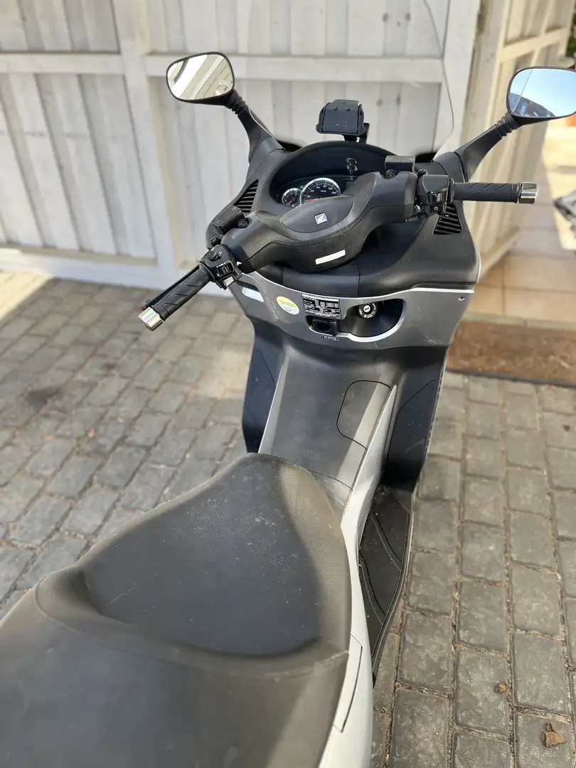 Honda FES 125 AAH Silber - 2