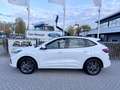 Ford Kuga 2.5 PHEV ST-Line Aut. | Winter Pack | Afneembare T Blanc - thumbnail 2