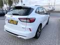 Ford Kuga 2.5 PHEV ST-Line Aut. | Winter Pack | Afneembare T Blanc - thumbnail 7