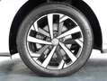 Volkswagen Polo 5p 1.6 tdi Highline 95cv dsg Grigio - thumbnail 15