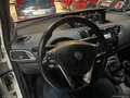 Lancia Ypsilon 1.2 69 CV 5p. Gold 5 POSTI Weiß - thumbnail 10