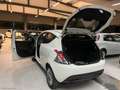 Lancia Ypsilon 1.2 69 CV 5p. Gold 5 POSTI Blanc - thumbnail 16