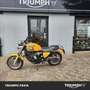 Triumph Thunderbird Sport Sport Gris - thumbnail 8