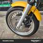 Triumph Thunderbird Sport Sport Gris - thumbnail 12